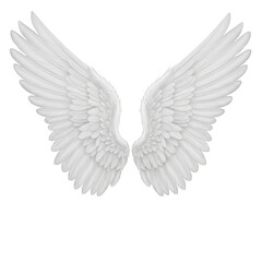 White Angel Wings isolated on a transparent background