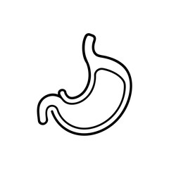 Illustration of a human stomach in simple outline on transparent background silhouette