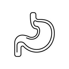 Illustration of a human stomach in outline style on transparent background silhouette