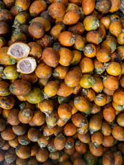 Areca Nut Commerce: Huge Quantity of Dried Supari for Sale