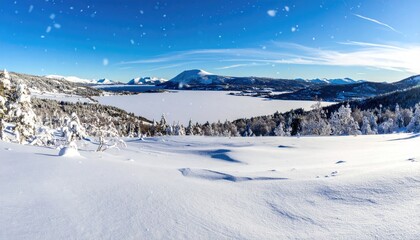 Snow-covered landscape with frozen lake