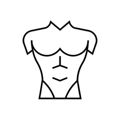 Outline illustration of a muscular male torso on transparent background silhouette