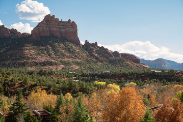 Autumn foliage and red rock mountains in Sedona, Arizona, USA