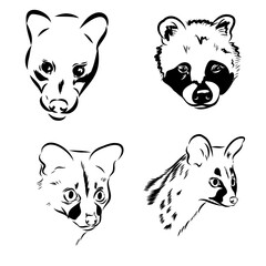 civet, vector sketch