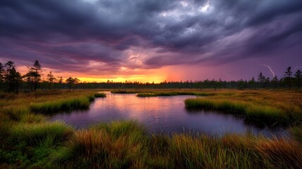 A dramatic sunset illuminates a wild bog with dark stormy clouds and distant lightning