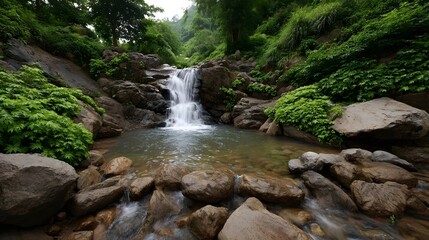 Fototapeta premium A picturesque waterfall cascades over moss covered rocks into a clear pool surrounded by lush green vegetation in a serene natural landscape