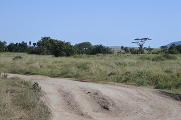 Hier kommt nur ein Geländewagen weiter