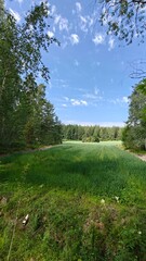 Obraz premium The stunning lush summer landscapes of Turko's Archipelago of islands in Finland