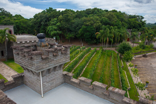 Vineyards and Cave de Pedra winery castle like building in Vale dos Vinhedos valley, Bento Goncalves city, Rio Grande do Sul serra, RS, Brazil