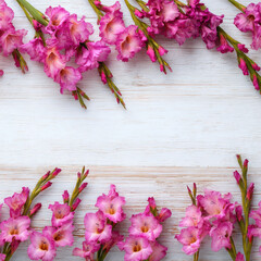 Pink gladiolus flowers border frame with space for text on wood
