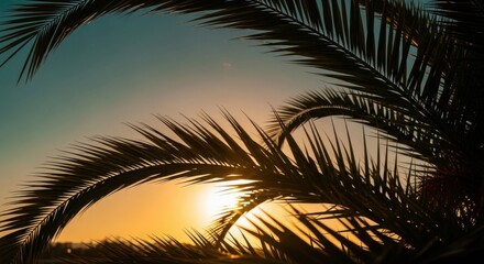 Golden Sunset Through Palm Leaves in a Tropical Paradise
