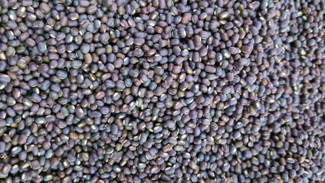 A pile of black gram or urad dal is displayed for sale, showing dark glossy seeds in a neat heap at the shop.