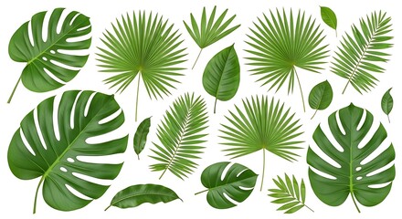 set of green leaves