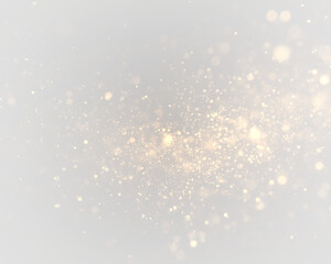 Sparkling gold dust floats softly across glowing bokeh circles. Tiny glitter particles shimmer delicately. Elegant overlay for Christmas or holiday designs. PNG