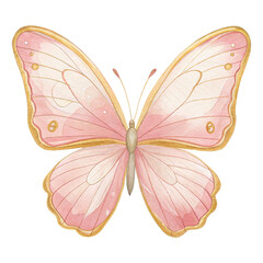 Watercolor pink butterfly clipart, delicate pastel insect illustration