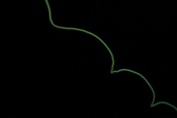 A minimalist and subtle glowing green light trail forming a simple wave on a pure black background with ample copy space.