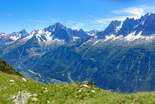 alpine meadow in France overlooking Chamonix
