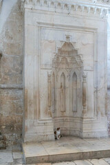 A small calico cat sits nestled in the corner of a grand, carved stone niche in a historical white marble wall, possibly inside a religious building. Room of the Last Supper