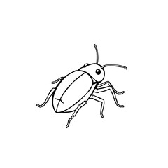 Beetle Anatomy Study in Nature, Illustration, Close-up View, Scientific Concept