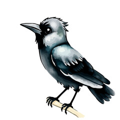 Nature Illustration, Crow Bird, Forest Environment, Wildlife Art, Close-Up View, Artistic Concept