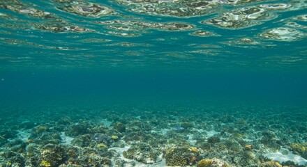 Sunlight pierces through the water surface creating rippling caustics above a sandy ocean floor in a tranquil underwater scene. This looping animation serves as a serene background for marine or relax