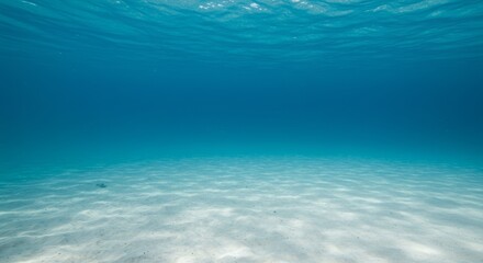 Sunlight pierces through the water surface creating rippling caustics above a sandy ocean floor in a tranquil underwater scene. This looping animation serves as a serene background for marine or relax