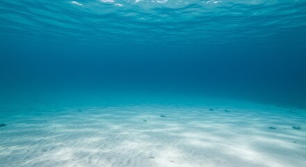 Sunlight pierces through the water surface creating rippling caustics above a sandy ocean floor in a tranquil underwater scene. This looping animation serves as a serene background for marine or relax