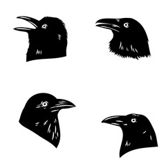 Obraz premium crow, black bird, vector sketch