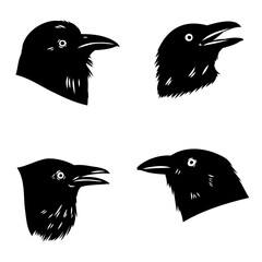 Obraz premium crow, black bird, vector sketch