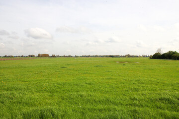 Fototapeta premium Meadows and country roads in the Zuidplaspolder