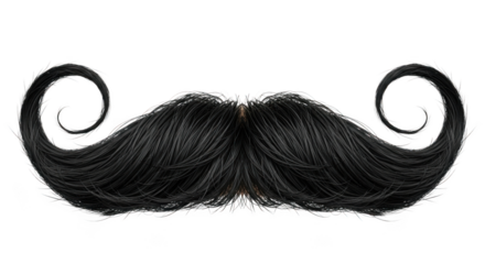 Close-up of a detailed black mustache featuring curled ends and fine hair texture isolated on transparent background