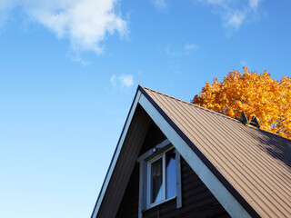 Brown metal roof house under the autumn tree against blue sky 