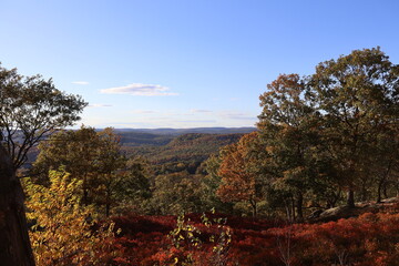 Beautiful sunny fall day in the mountains surrounded by fall foliage and fields of red blueberry bushes.