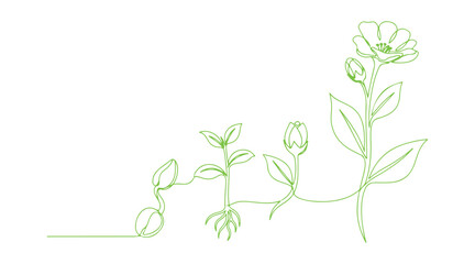 Naklejka premium A flowing single line drawing that illustrates the stages of plant growth. Vector illustration