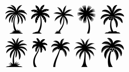 Set of ten black silhouette palm tree vectors with diverse shapes, leaf styles, and some featuring coconuts, perfect for tropical design and island concepts.