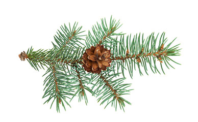 Green pine branches with brown pinecones isolated on a transparent background. A festive and natural element ideal for Christmas or winter holiday themes, symbolizing seasonal decor and nature. PNG.
