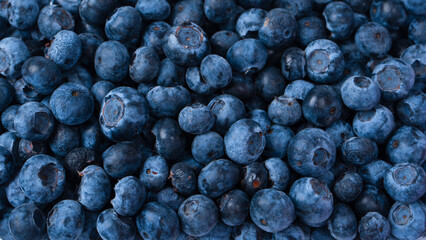 Blueberries in a plastic container isolated on a white background.