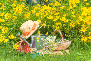 Summer gardening concept: gardening tools, watering can, hat, bunch of wild flowers in a basket near the yellow blooming flower bet