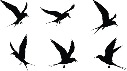 Flying bird silhouettes collection isolated on white background, vector illustration of seabirds in motion, wildlife design
