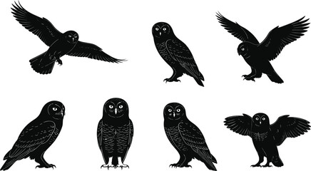 Owl silhouettes collection isolated on white background, vector illustration of flying and perched owls, wildlife bird design