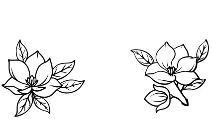 Floral bakground or wallpaper with tender flowers and leaves. Botanical foliage for wedding invitation or wall art. Vector illustration. 11