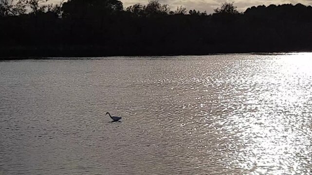 La Tour Carboni&egrave;re