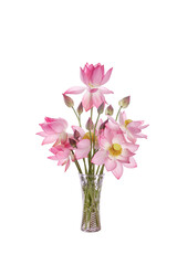 Pink Lotus Flowers in Crystal Vase - Fresh Summer Blooms with Delicate Petals and Sweet Scent