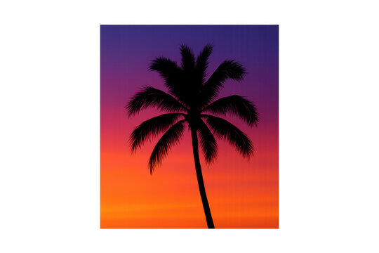Palm tree silhouette against vibrant sunset sky, tropical vacation evening with orange and purple gradient background