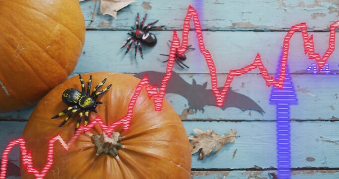 Fototapeta Showing large orange-pumpkin sitting on blue-planks with toy-spiders bat-cutout red-purple graphics
