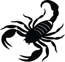 Isolated scorpion silhouette. Dangerous wildlife creature vector graphic