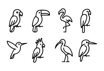 Naklejka premium Various bird species are illustrated in clean line art, each demonstrating distinctive shapes and postures, perfect for educational or decorative use.
