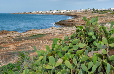 Panorama of the Salento coast near S.Maria di Leuca