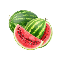 Fresh watermelon slices and whole fruit isolated on white background