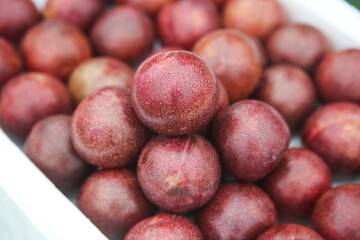 Fresh Blood Red Plums in Container - Ripe Stone Fruit Display